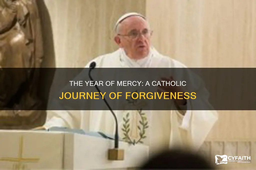 what is year of mercy catholic