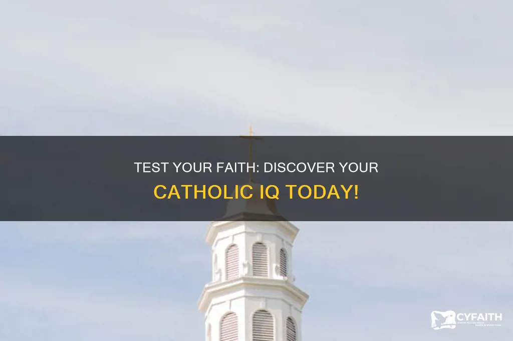 what is your catholic iq