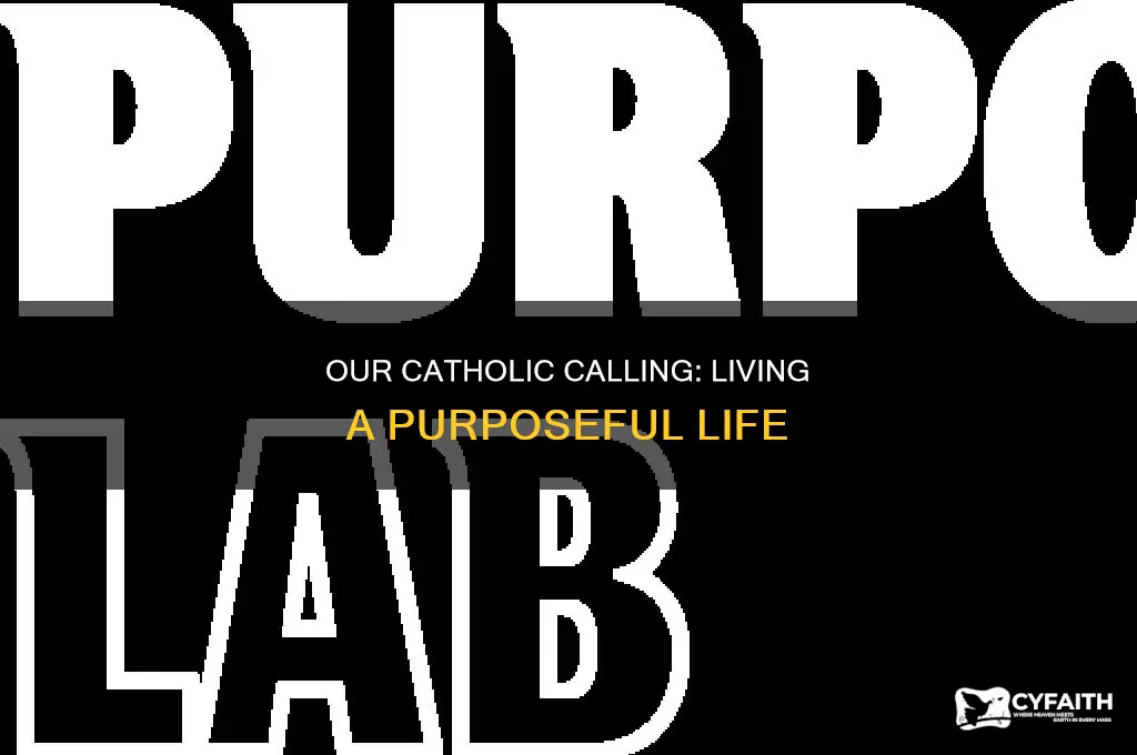 what is your goal as catholics