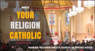 Understanding Catholicism: Exploring Faith, Traditions, and Beliefs of the Catholic Religion