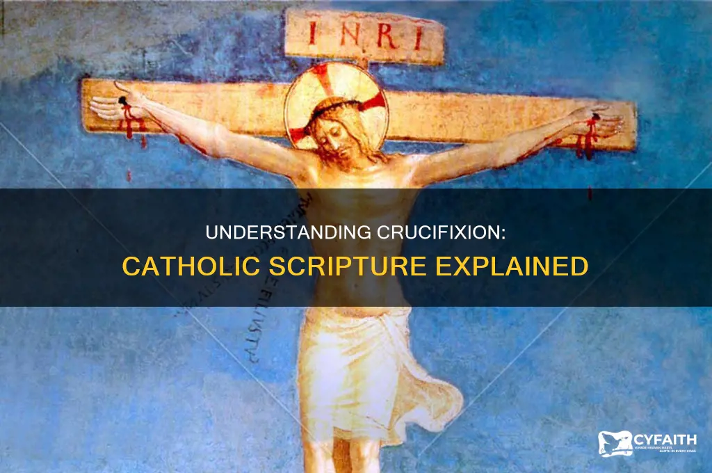 what isbeing crucified with christ scripture catholic answers