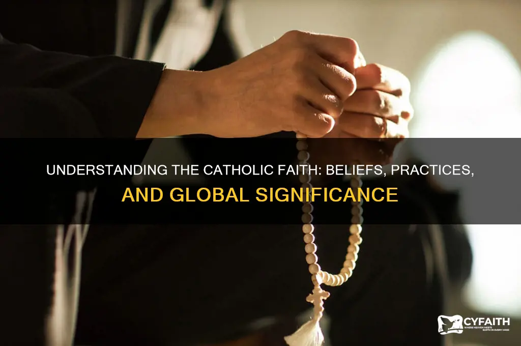 what ismeaning of catholic