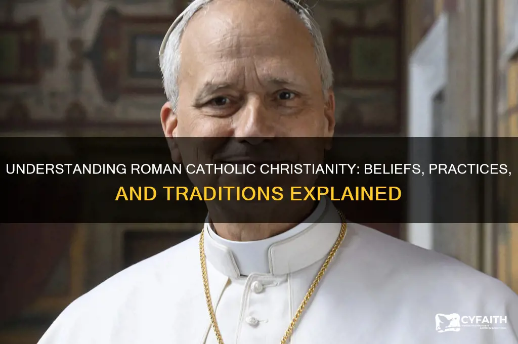 what isroman catholic christianity