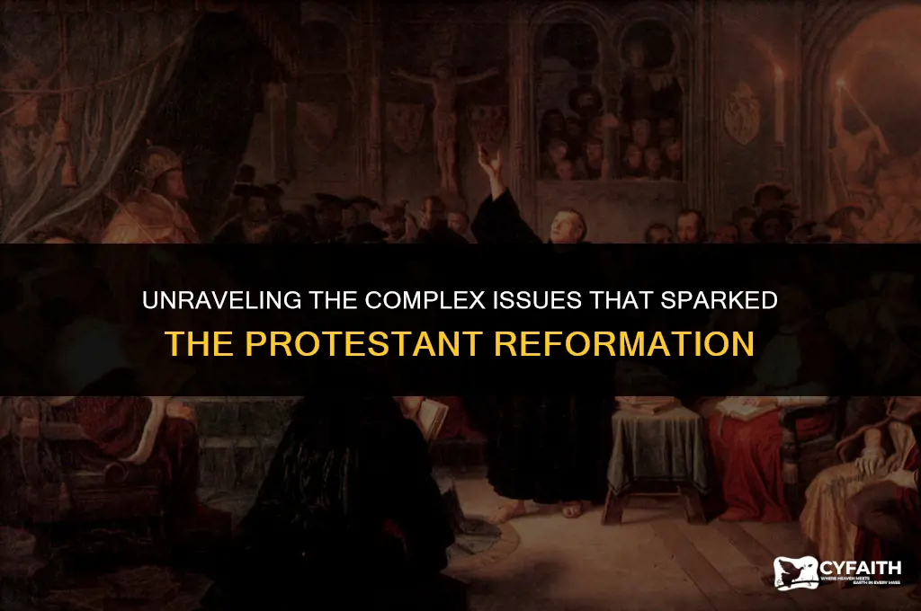 what issues drove the protestant reformation