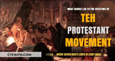Divisions within Protestantism: Tracing the Roots of Schism