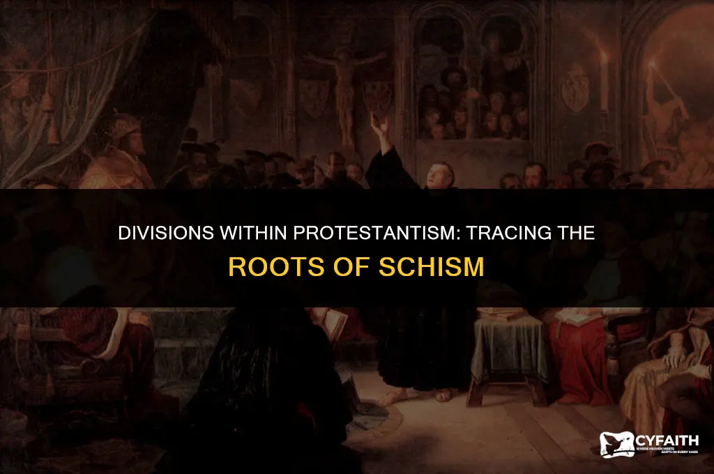 what issues led to the splitting of teh protestant movement