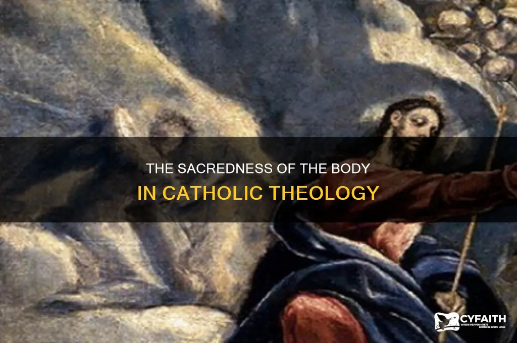 what isthe catholic view of the body