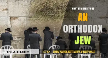 Understanding Orthodox Judaism: Traditions, Faith, and Daily Life Explained
