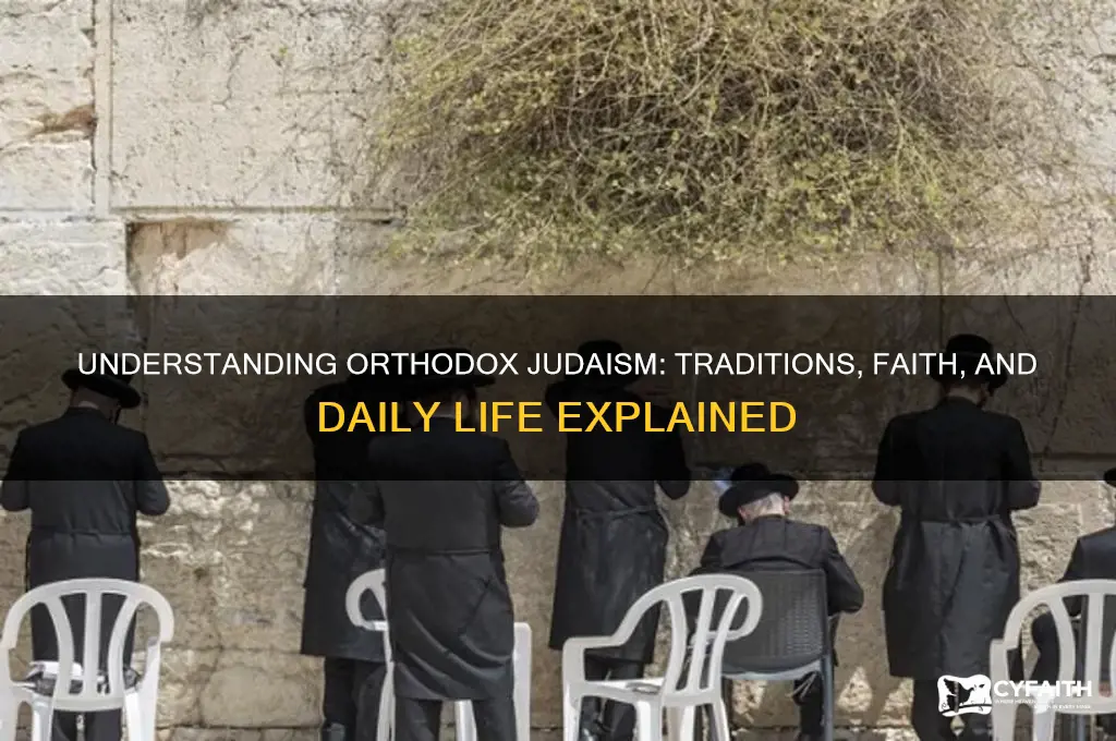 what it means to be an orthodox jew