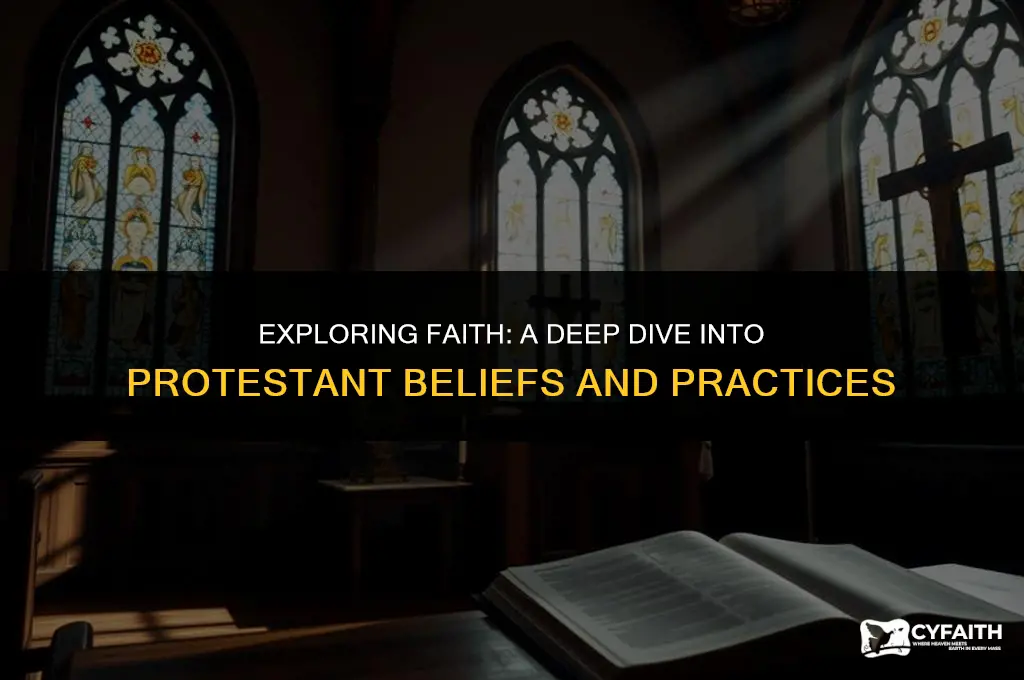 what it means to be protestant book