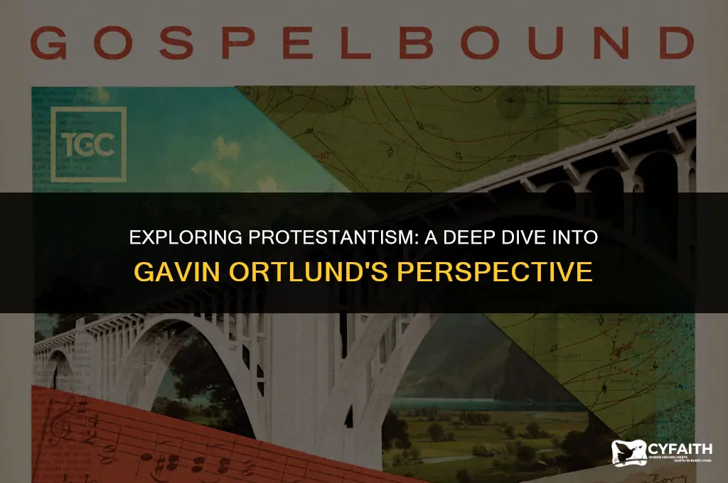 what it means to be protestant gavin ortlund
