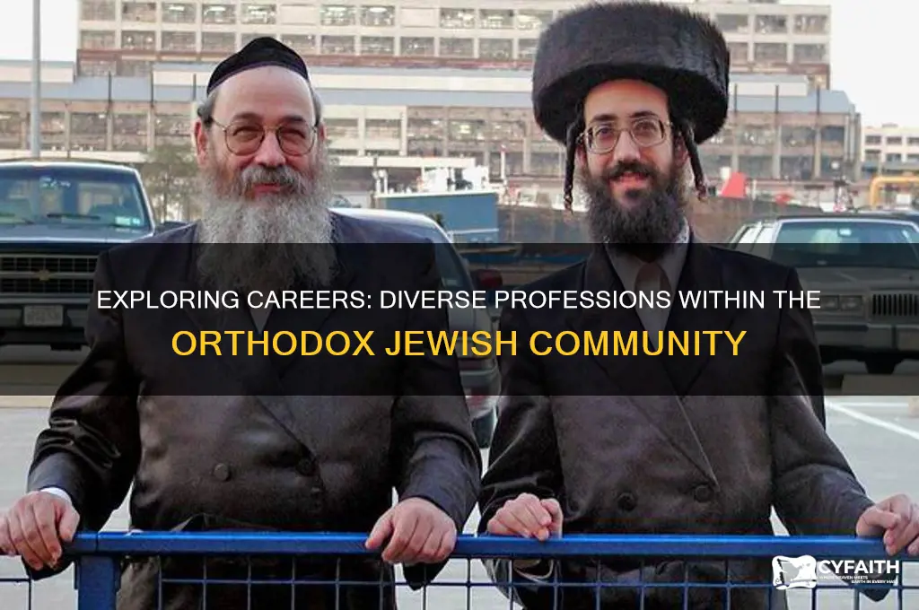 what jobs do orthodox jews do