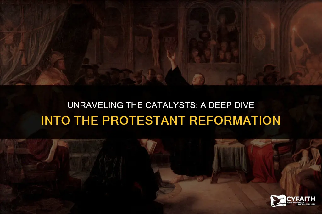 what key factors lead to the protestant reformation