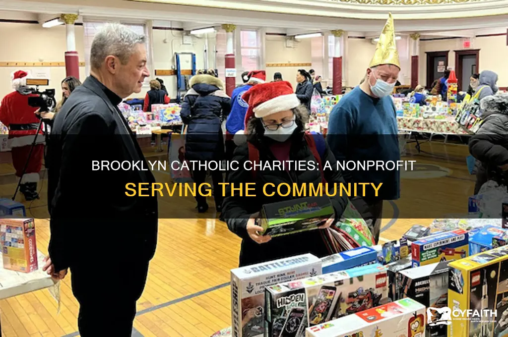 what kind of business is brooklyn catholic charities
