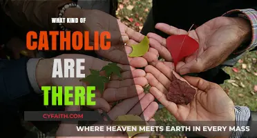 Catholic Diversity: Exploring Different Types of Catholics