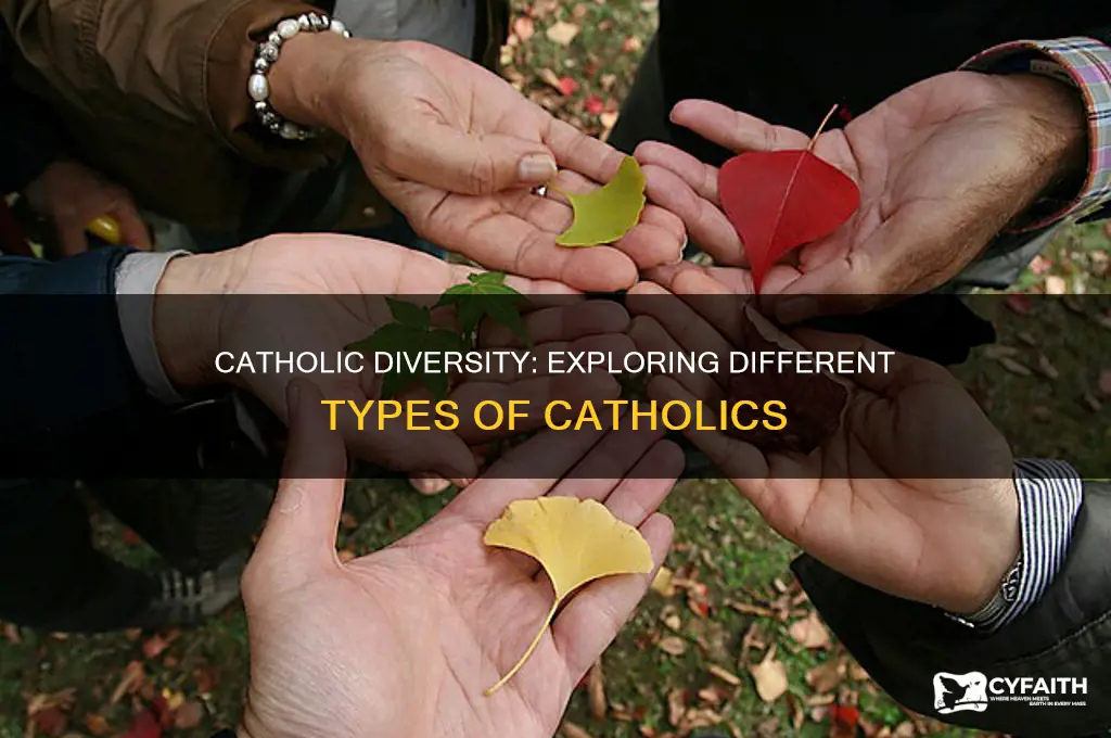 what kind of catholic are there