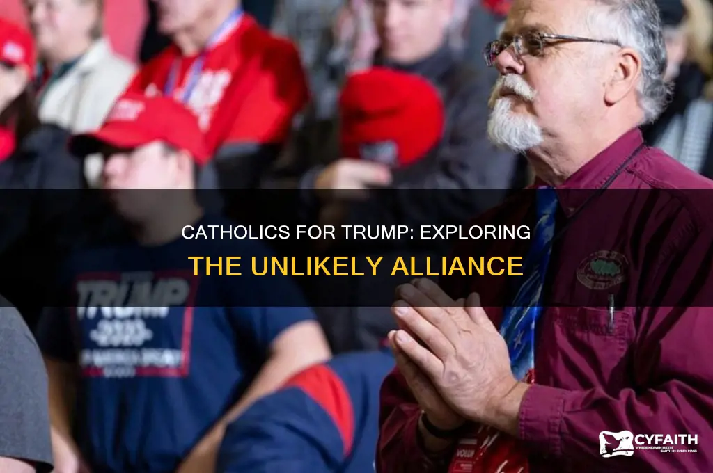 what kind of catholics defend donald trump