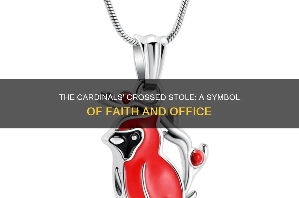 what kind of necklaces do catholic cardinals wear