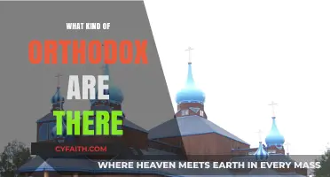 Exploring the Diverse Branches of Orthodox Christianity and Judaism