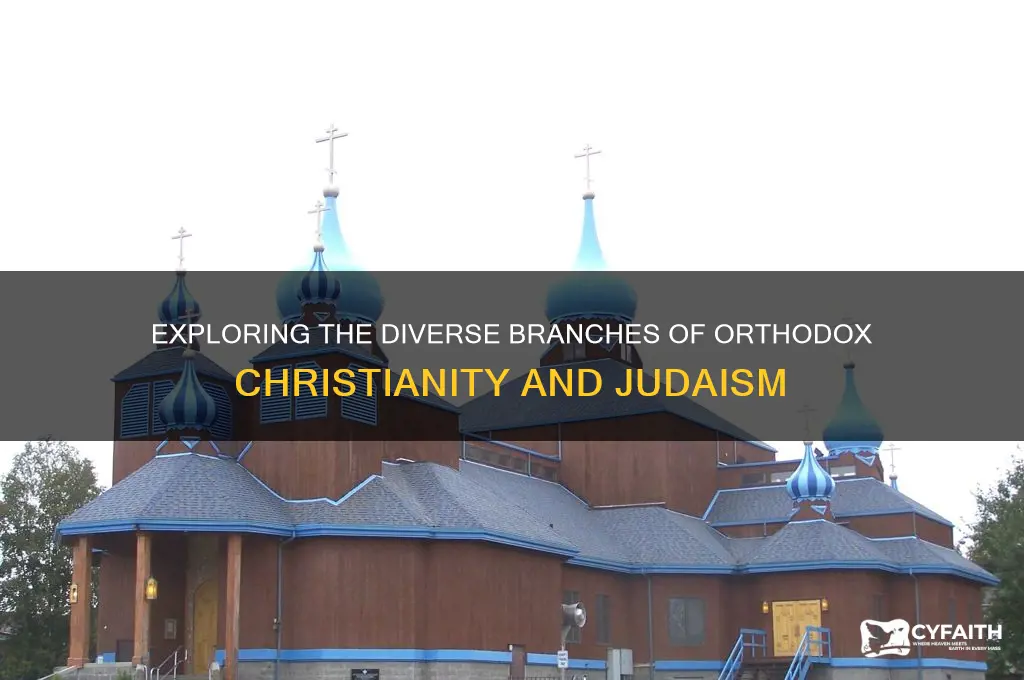 what kind of orthodox are there