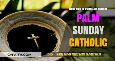 Palm Sunday Catholic Traditions: Exploring the Sacred Palm Species Used