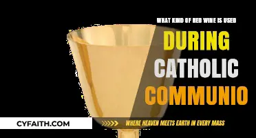 Sacred Sips: Exploring Red Wines in Catholic Communion Rituals