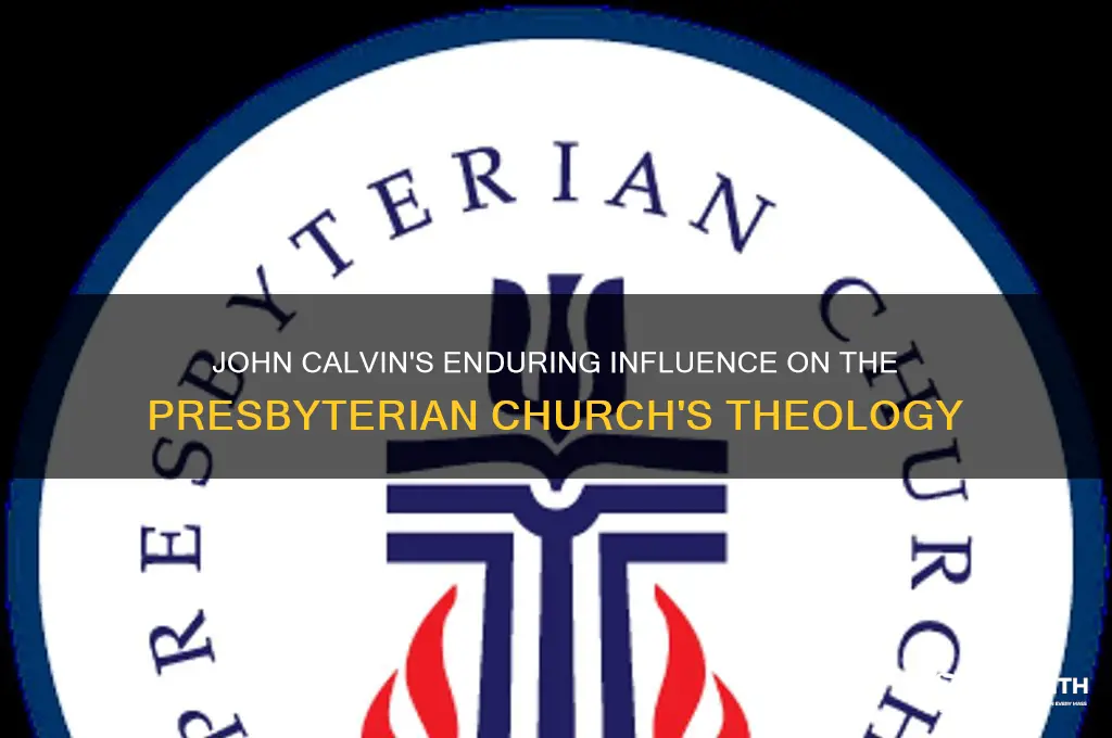 what kind of relationship john calvin has with presbyterian church