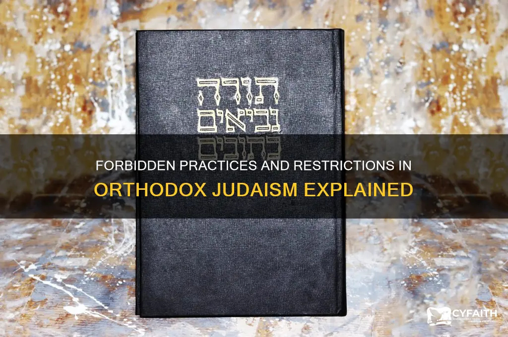 what kinds of things are proscribed in orthodox judaisim