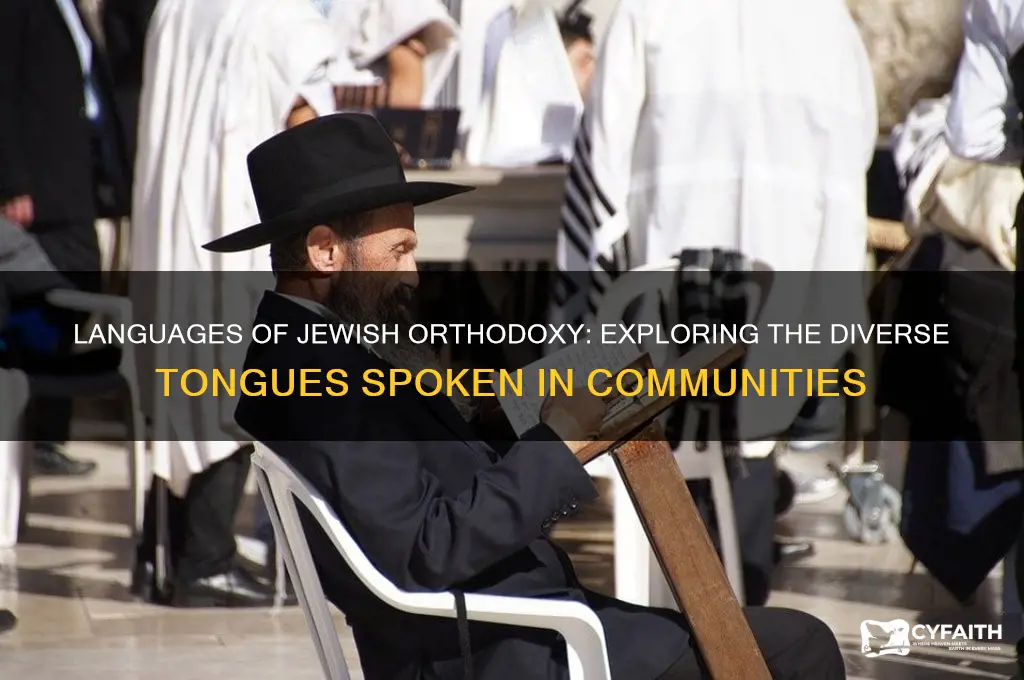 what language do jewish orthodox speak