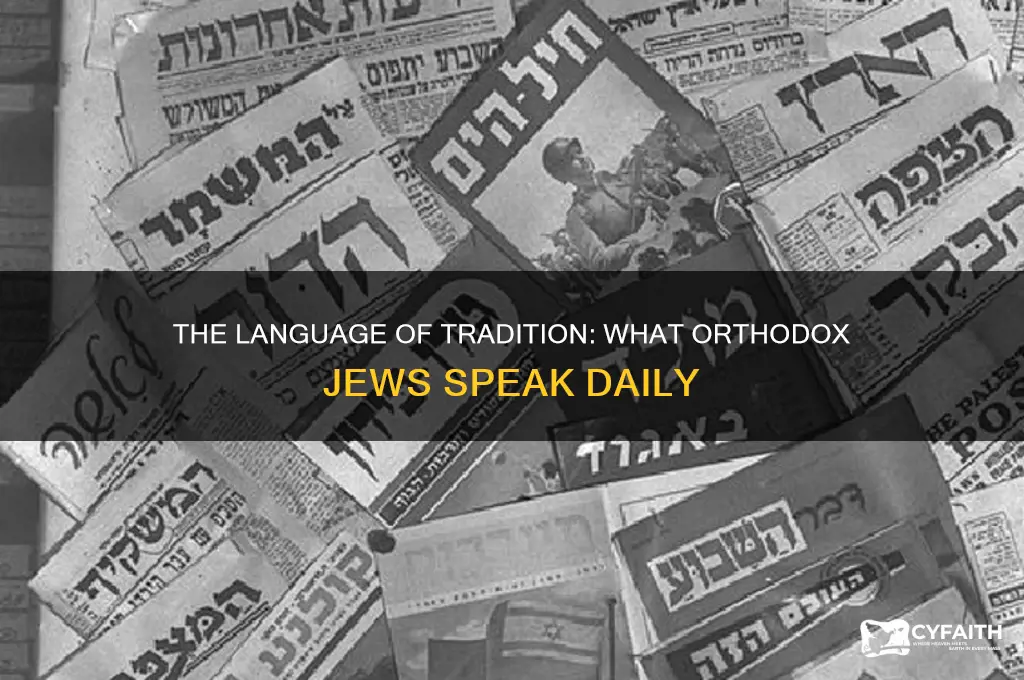 what language do orthodox jews speak