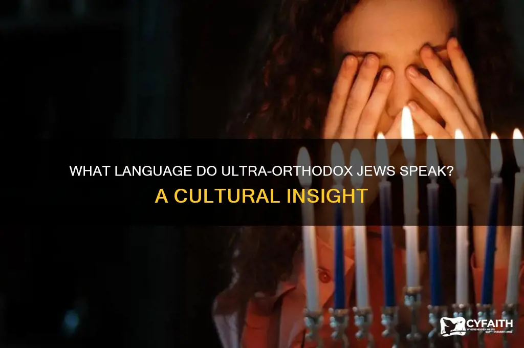 what language do ultra orthodox speak