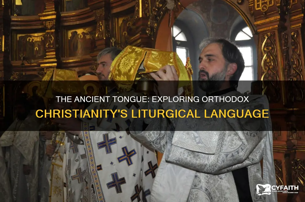 what language is orthodox christianity