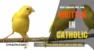 The Language of John in Catholic Scripture