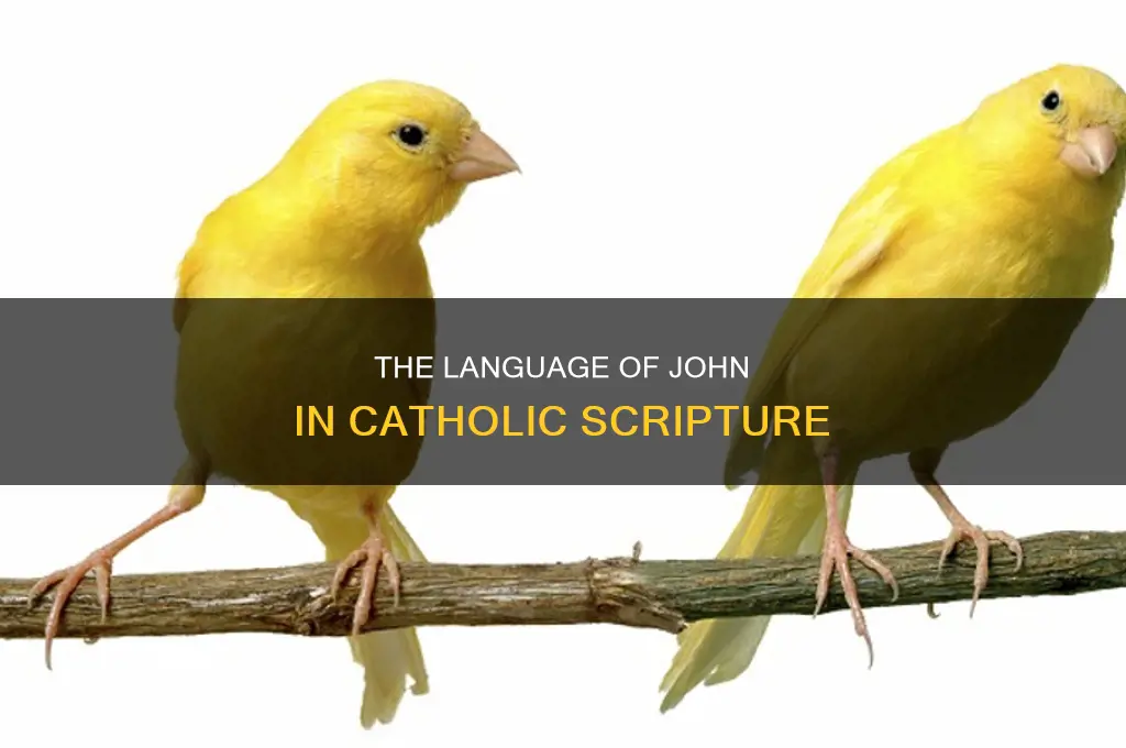 what language was john written in catholic