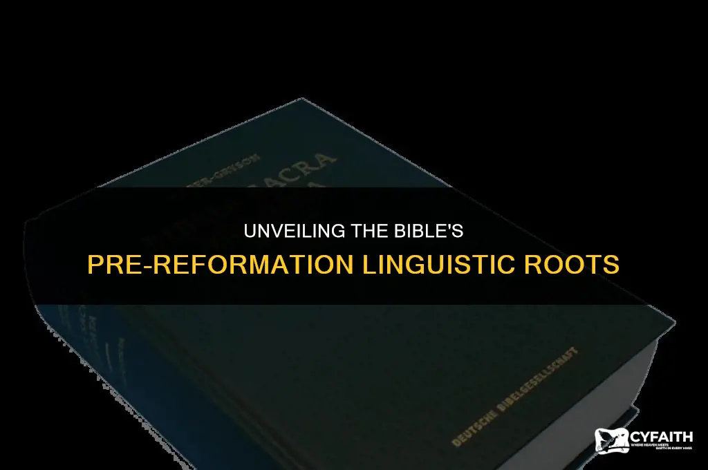 what language was the bible in before the protestant reformation