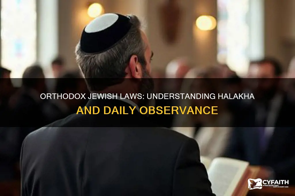 what laws do orthodox jews follow