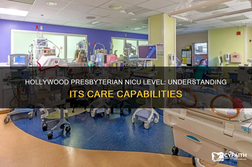 what level of nicu is hollywood presbyterian