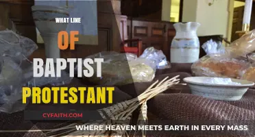 Exploring the Spectrum: Understanding Different Lines of Baptist Protestantism
