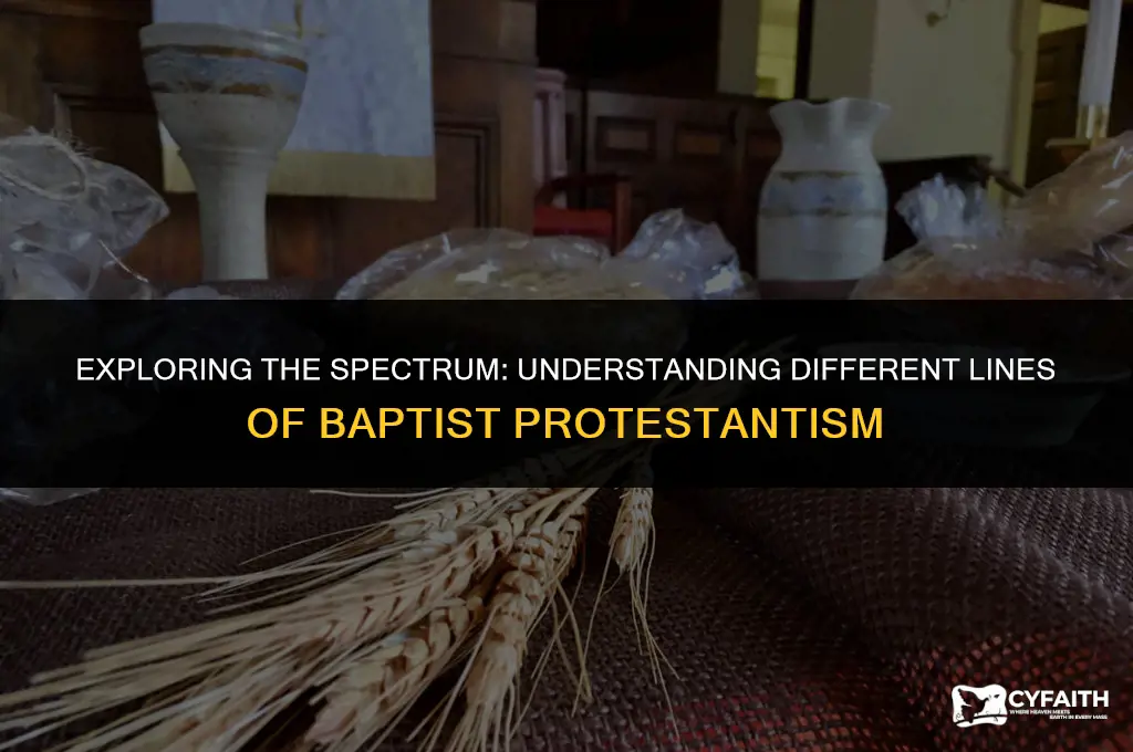 what line of baptist protestant