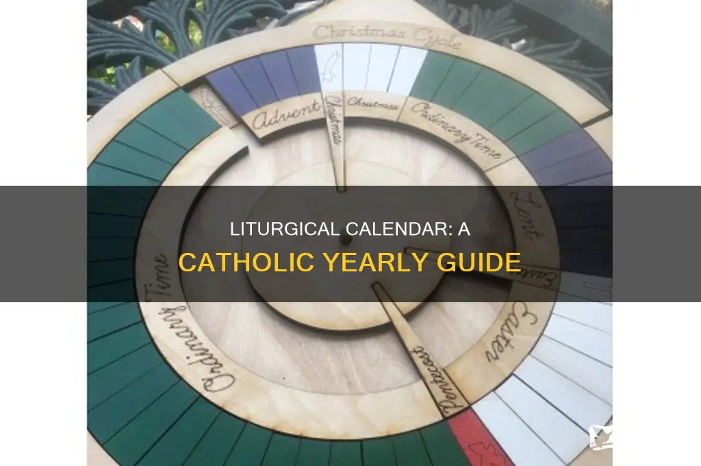 what liturgical year are we in catholic