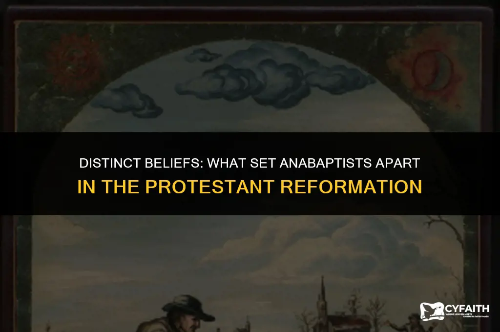 what made anabaptists different from other protestant groups