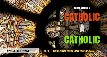 The Catholic Identity: What Makes Us Unique