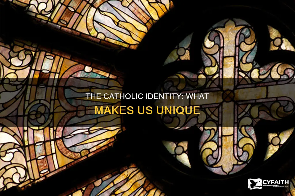 what makes a catholic a catholic