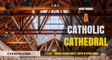 Exploring the Sacred Design and Purpose of Catholic Cathedrals