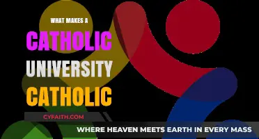 Catholic Universities: Faith, Education, and Community