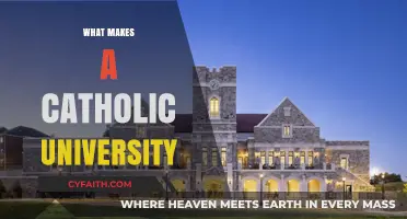 Distinctive Traits Defining a Catholic University: Faith, Education, and Community