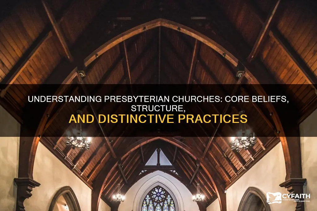 what makes a church presbyterian