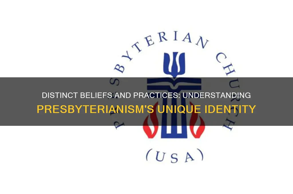 what makes a presbyterian different
