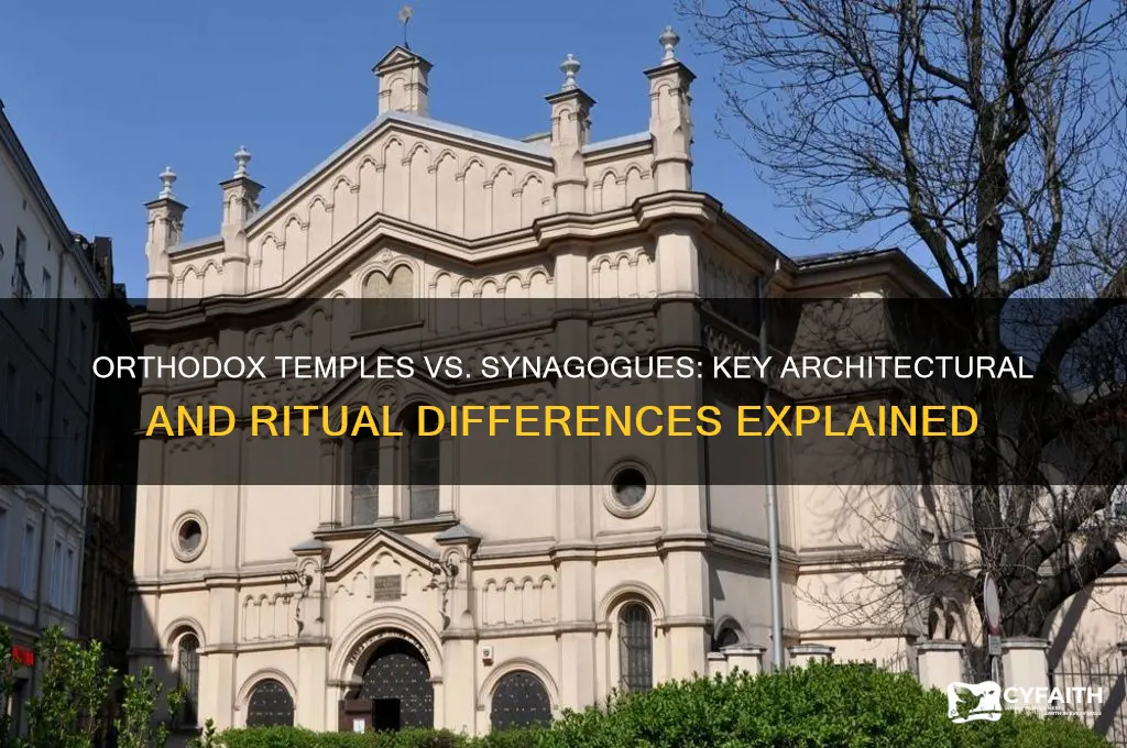 what makes an orthodox temple different than a synagogue