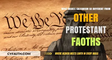 Distinct Doctrines: Unveiling Calvinism's Unique Place in Protestantism